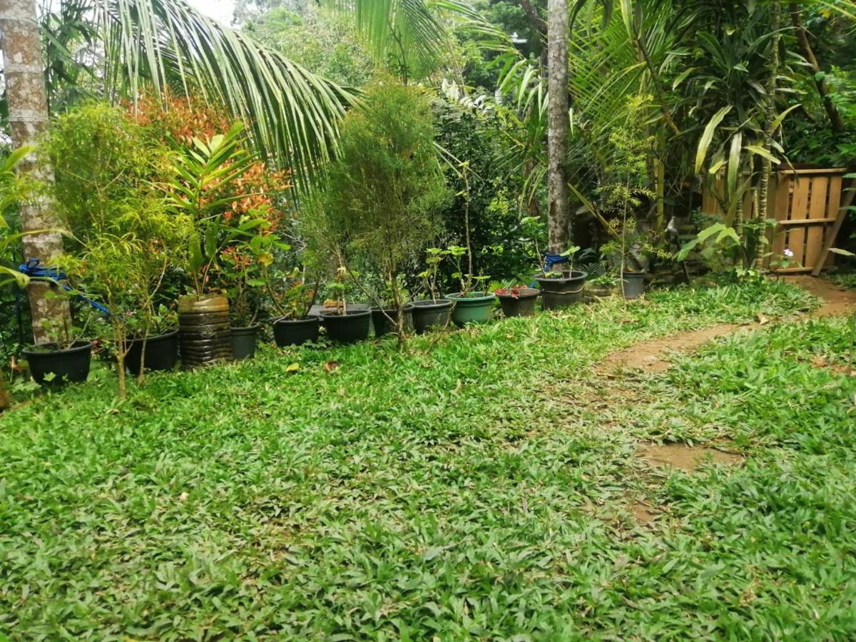 Sky Garden Ella Exterior foto